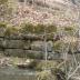 Hahn Mill Race (Image 4)