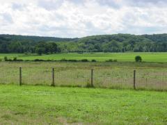 McMinn Property (View #1)