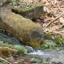 Hahn Mill Race (Image 4)
