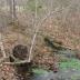 Hahn Mill Race (Image 4)
