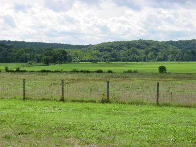 McMinn Property (View #1)