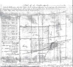 Section of 1918 J. W. Reilly Survey