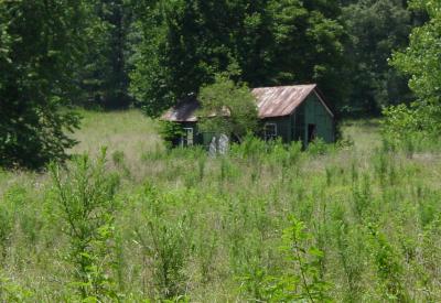 North Side of Old Possum Creek Road