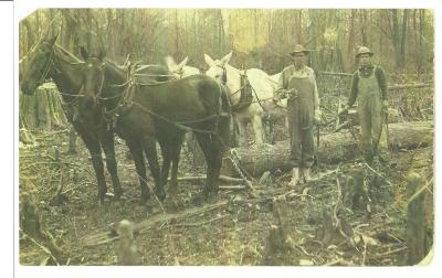 Joe & Jess Shrum logging cypress on Diversion Channel
