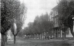 First Street in Lutesville