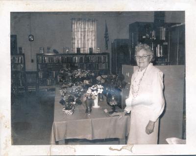 Bollinger County Library