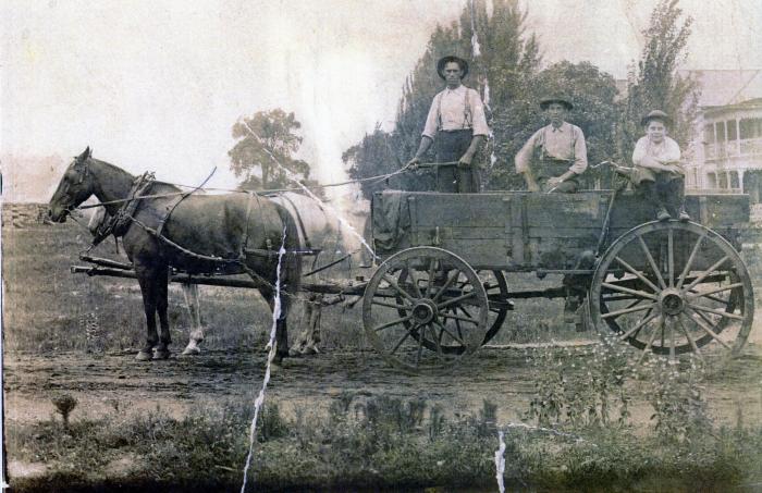 Lutesville Residents