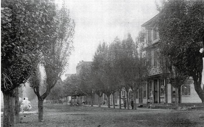 First Street in Lutesville