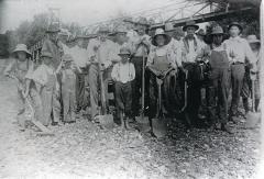Poll Tax