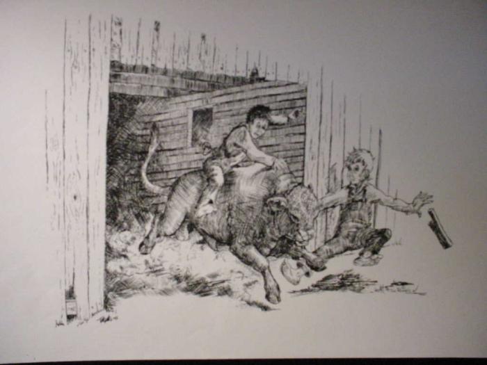 The Bull Rider