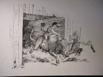 The Bull Rider