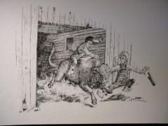 The Bull Rider