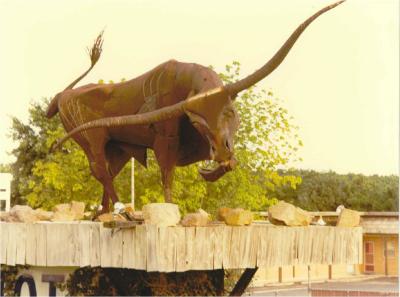 Longhorn