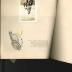 1946-1947 Scrapbook